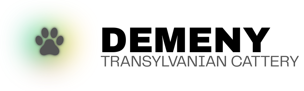 Transylvanian Cattery / Demeny