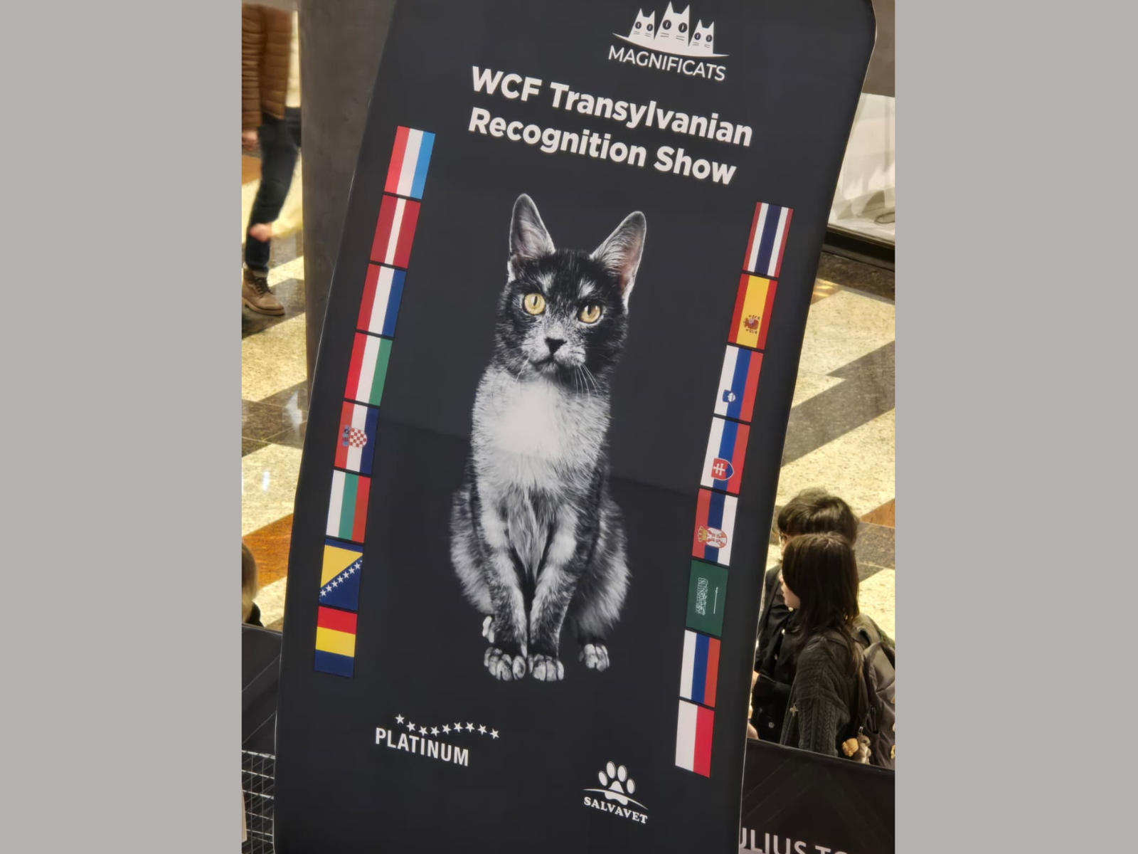 Photo from WCF Worldshow Romania 2026 at Iulius Mall Timisoara